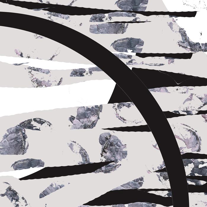 זברה-תקריב-1-לאתר